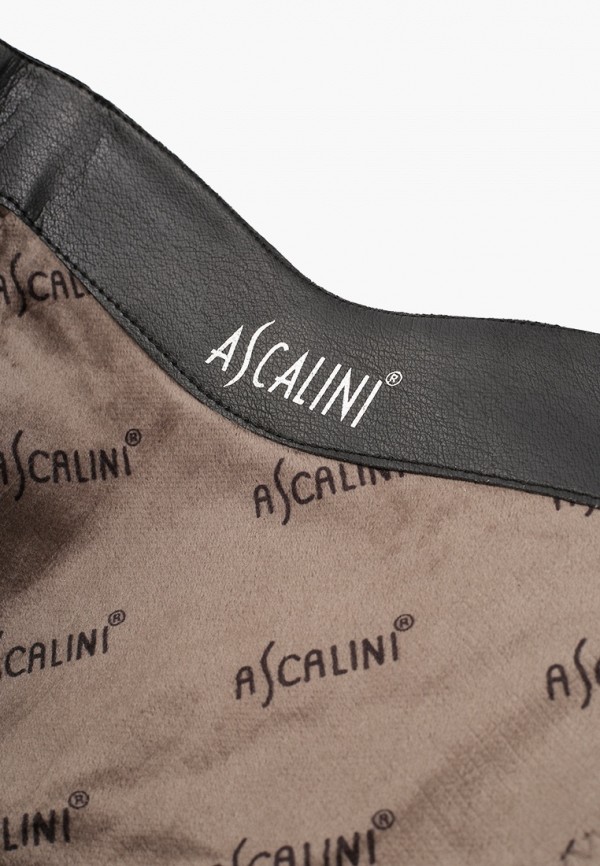 фото Сапоги ascalini