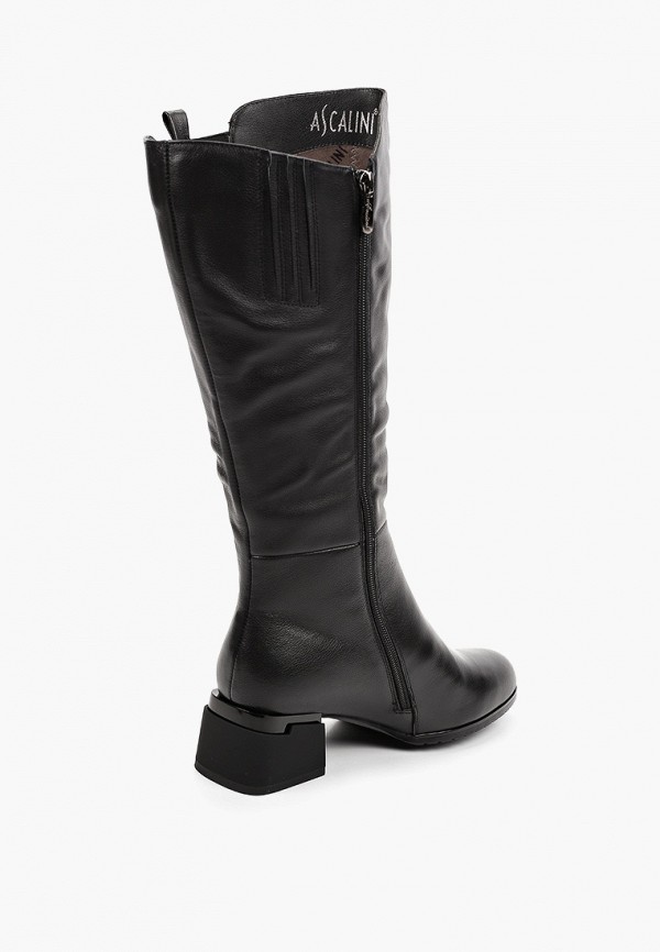 фото Сапоги ascalini