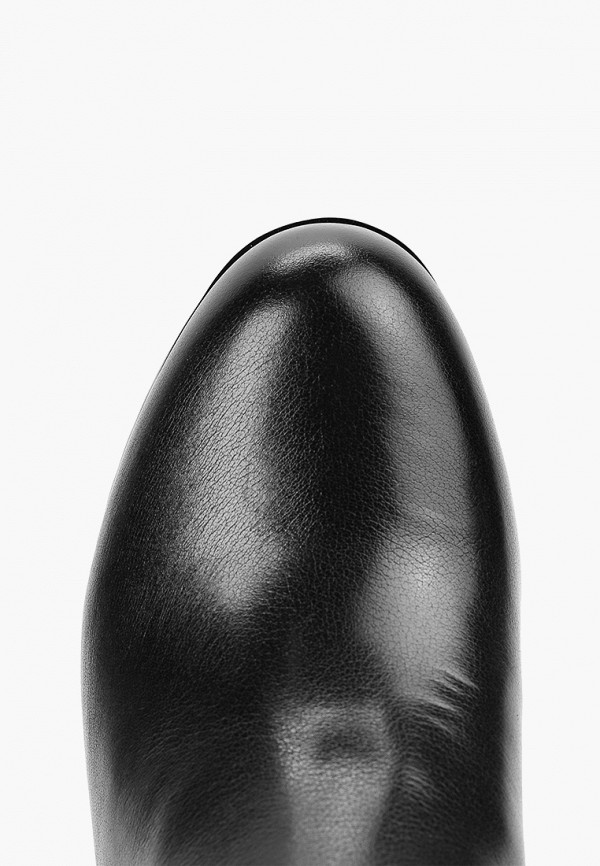 фото Сапоги ascalini