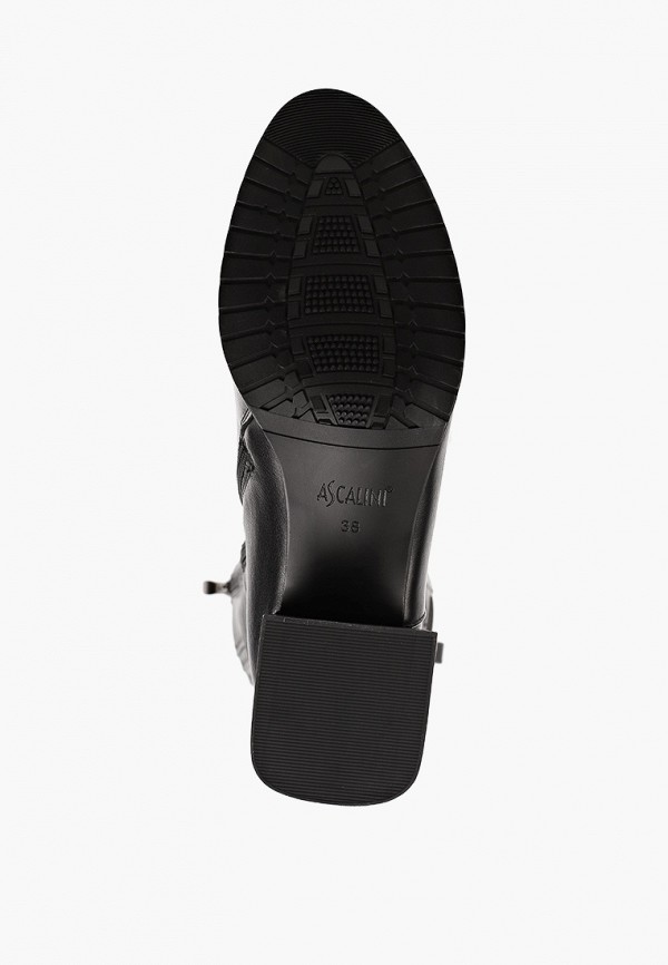 фото Сапоги ascalini