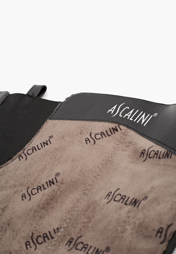 фото Сапоги ascalini