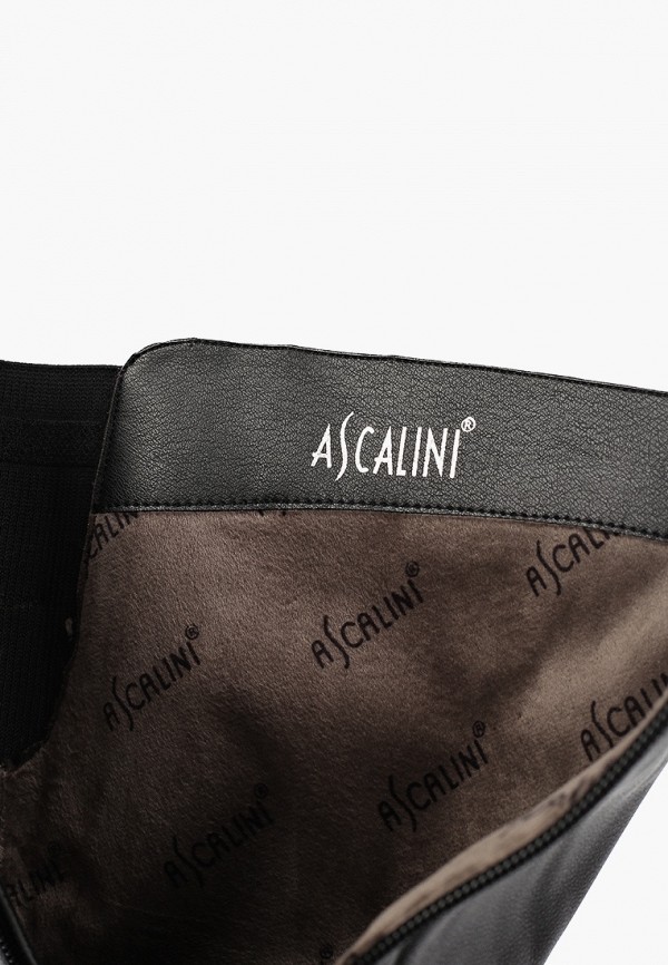 фото Сапоги ascalini