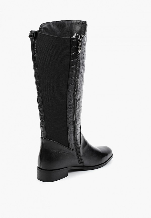 фото Сапоги ascalini