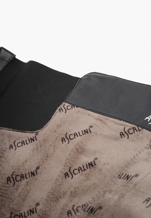 фото Сапоги ascalini