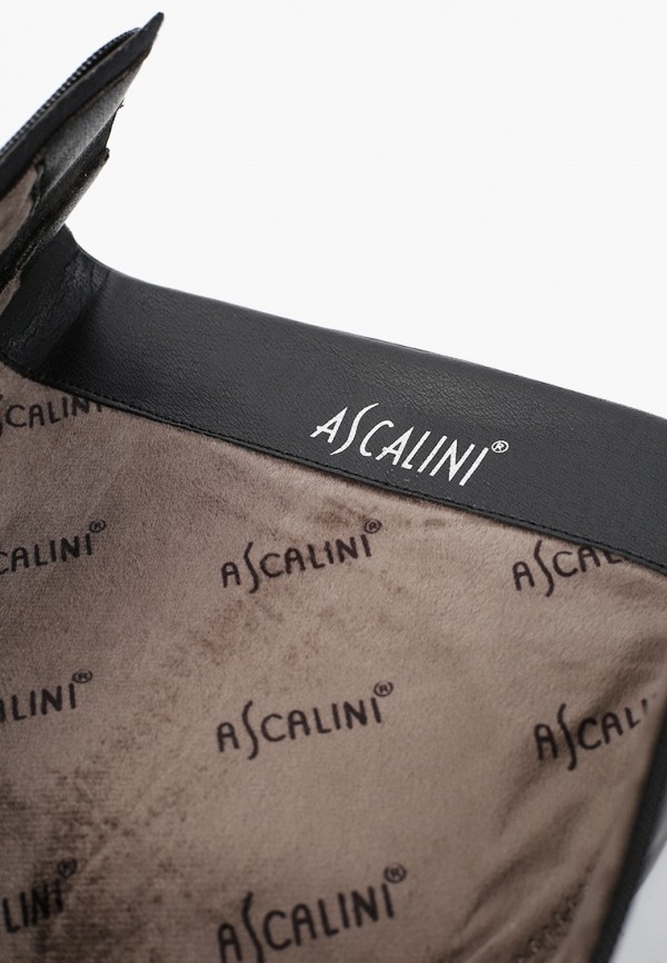 фото Сапоги ascalini