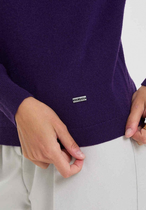 фото Водолазка norveg