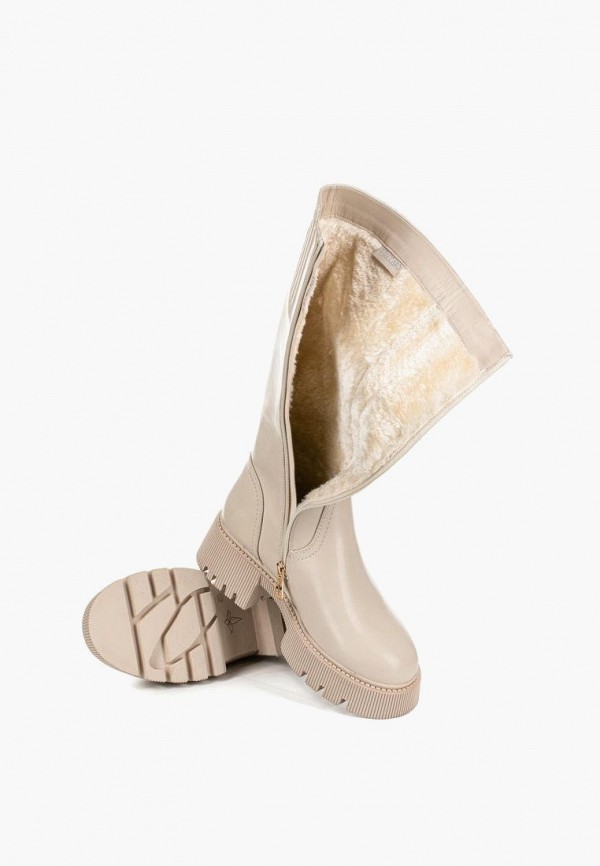 фото Сапоги t.taccardi