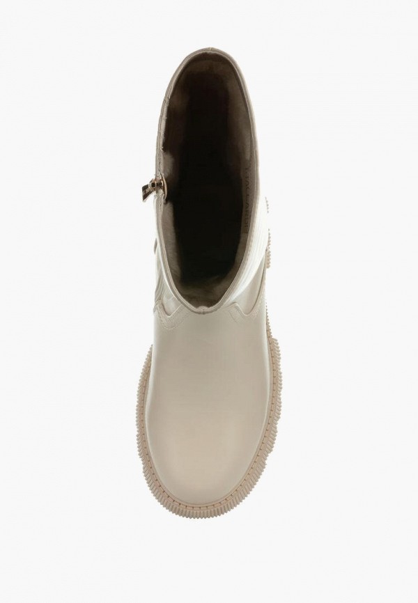 фото Сапоги t.taccardi