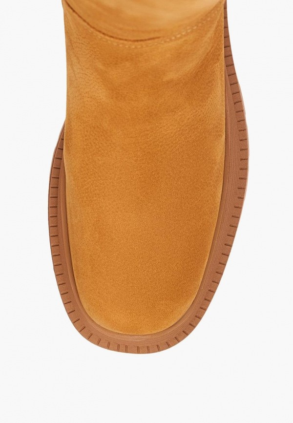 фото Сапоги pierre cardin