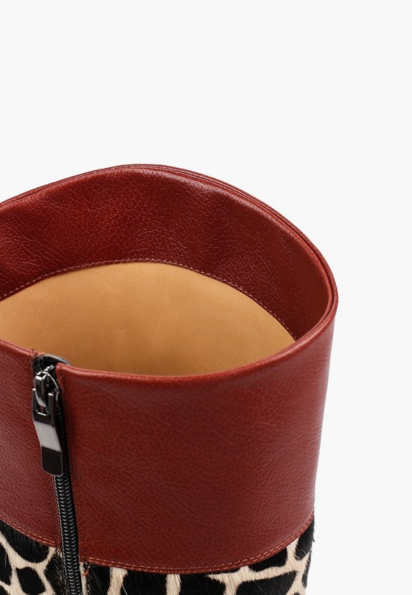 фото Сапоги giotto