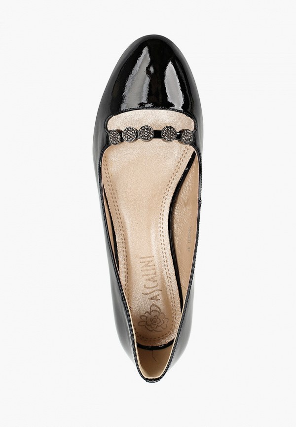 фото Туфли ascalini