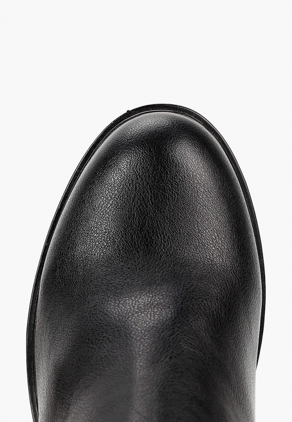 фото Сапоги t.taccardi