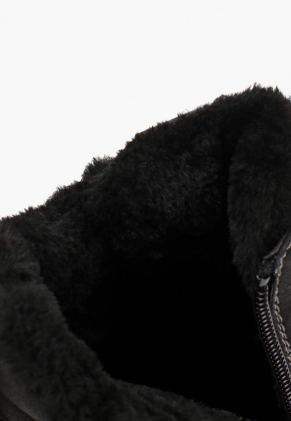 фото Ботинки t.taccardi