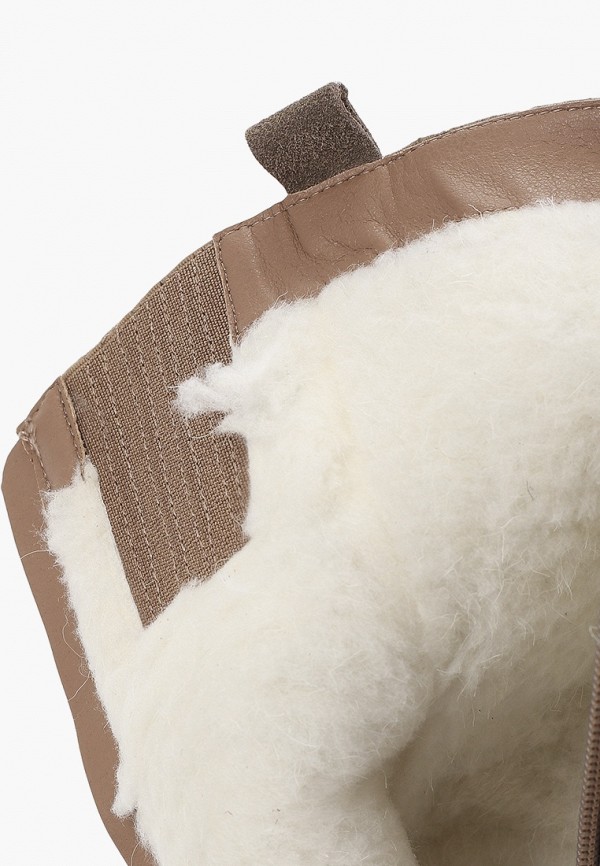 фото Сапоги francesco donni