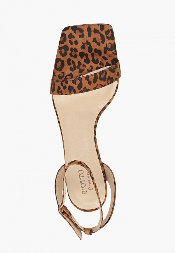 фото Босоножки giotto