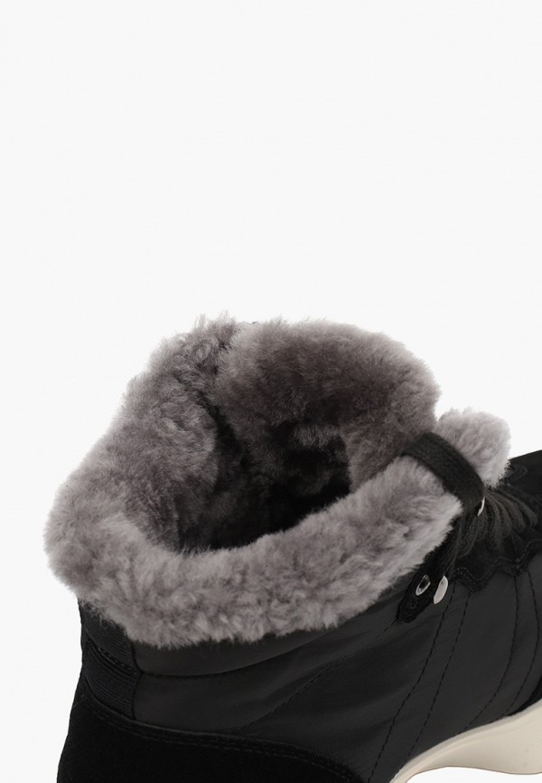 фото Кроссовки salamander