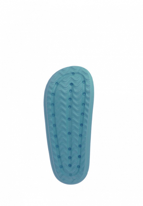 фото Сланцы de fonseca