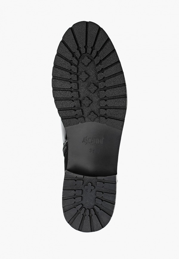 фото Ботинки ascalini