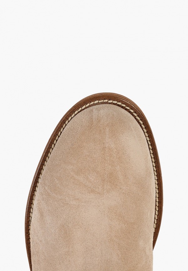 фото Сапоги vitacci