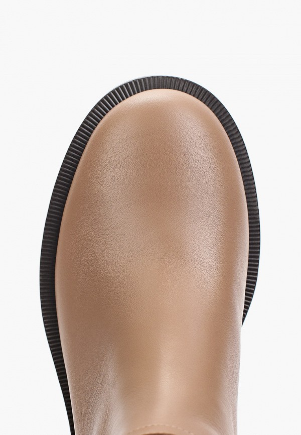 фото Сапоги ekonika