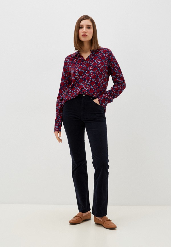 фото Брюки velocity