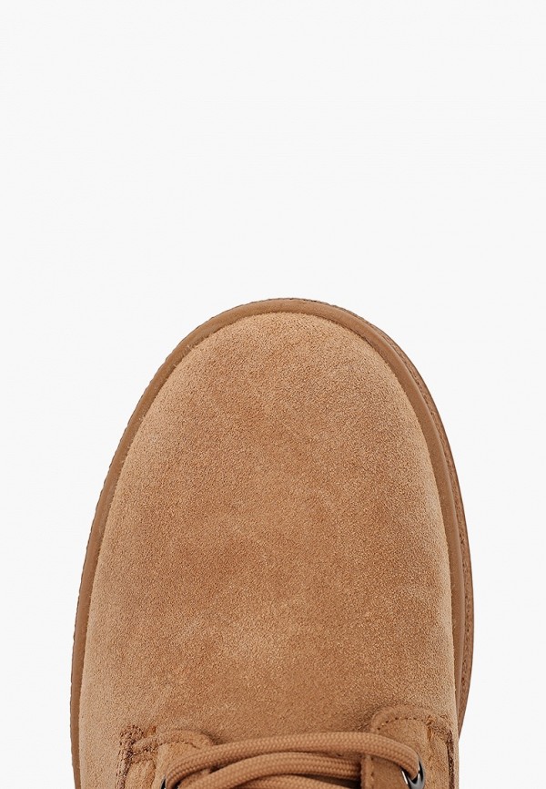 фото Ботинки dino ricci