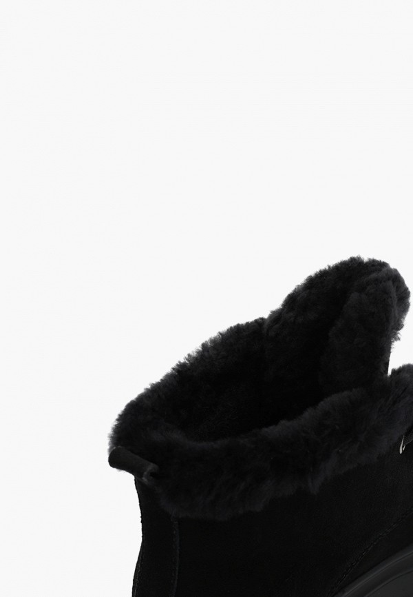 фото Ботинки shoiberg