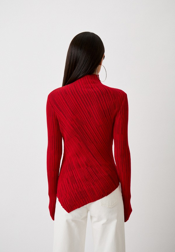 фото Водолазка sorelle