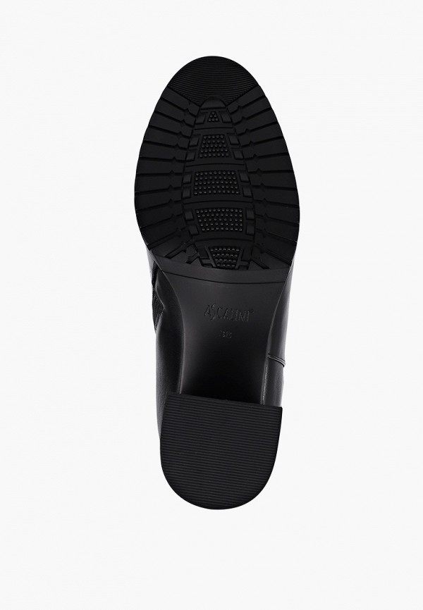 фото Сапоги ascalini