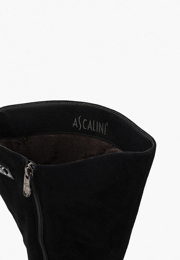 фото Сапоги ascalini