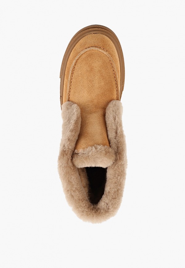 фото Ботинки dino ricci