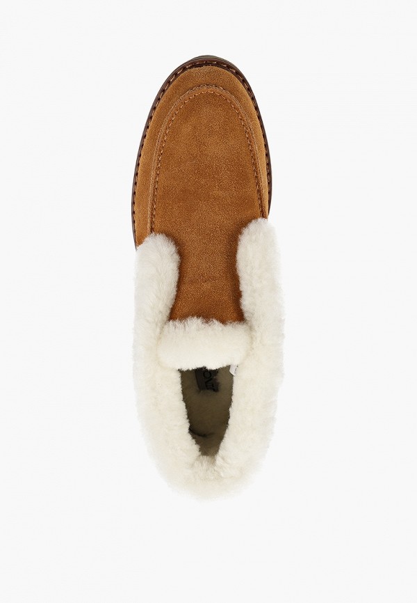 фото Ботинки dino ricci