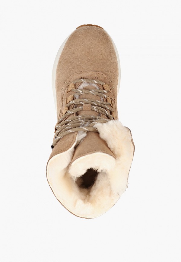 фото Ботинки shoiberg