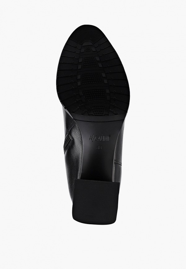 фото Сапоги ascalini