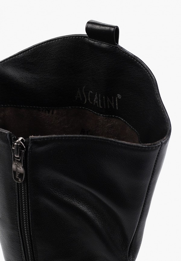 фото Сапоги ascalini