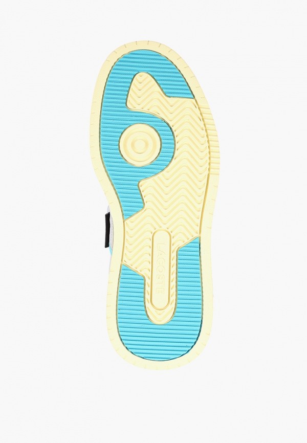 фото Кеды lacoste