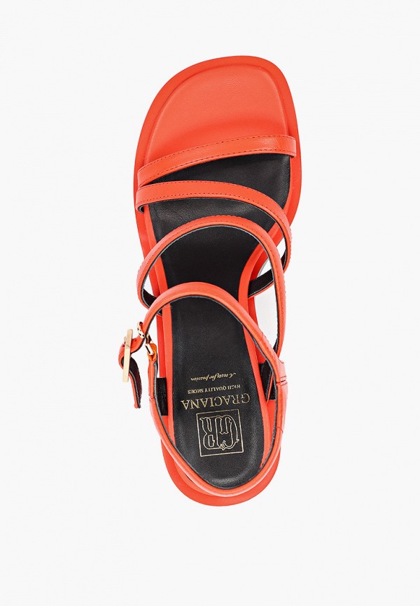 фото Босоножки graciana