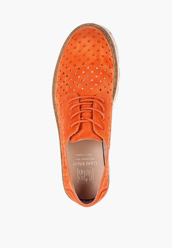 фото Ботинки graciana