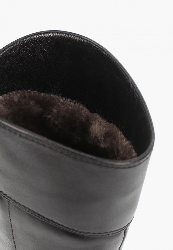 фото Сапоги enzo logana