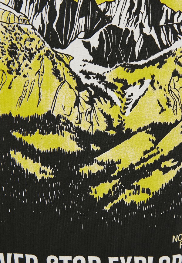 фото Футболка the north face