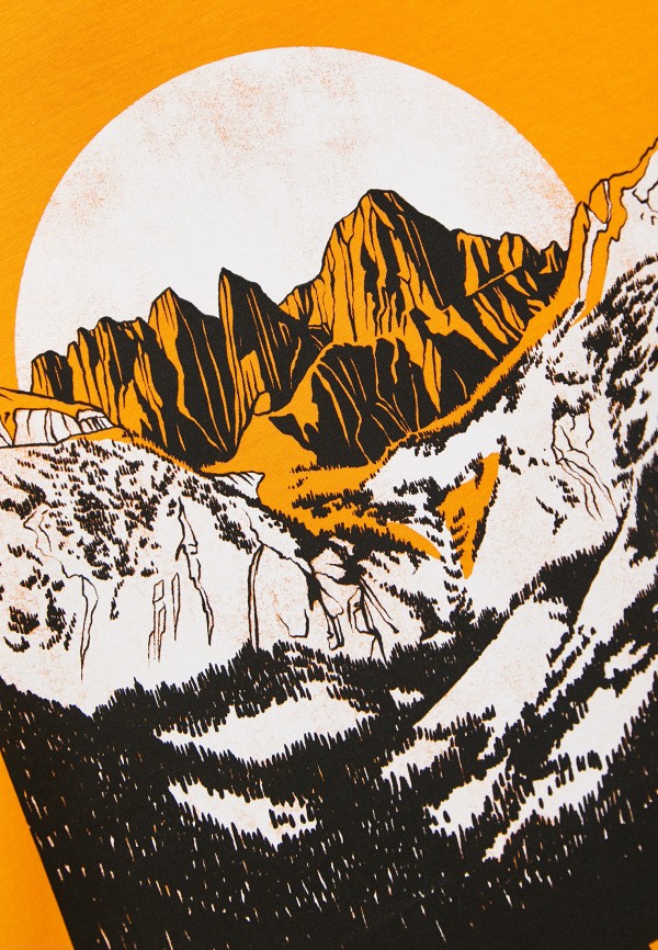 фото Футболка the north face