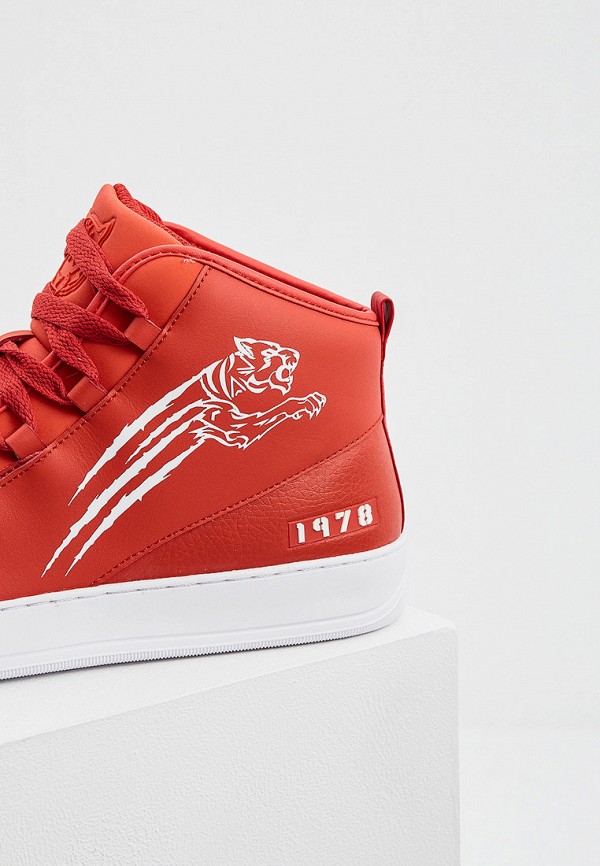 фото Кеды plein sport