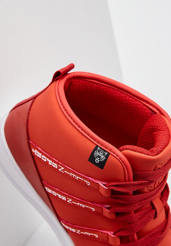 фото Кеды plein sport