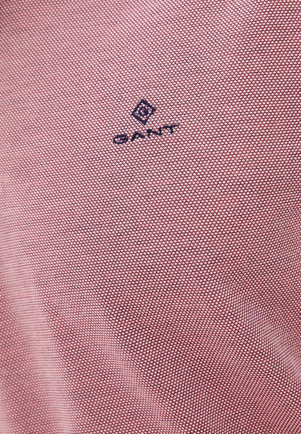 фото Поло gant