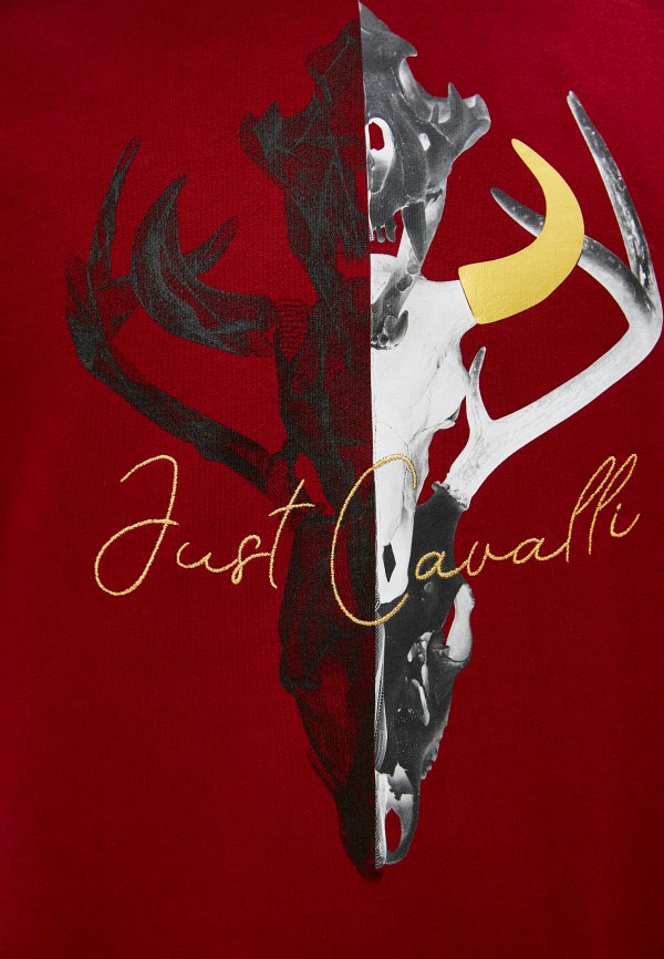 фото Худи just cavalli