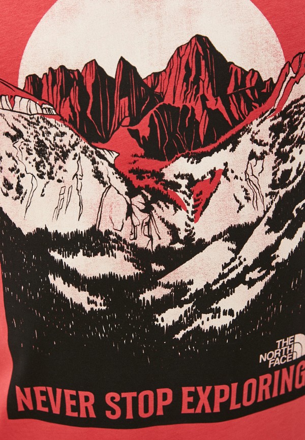 фото Футболка the north face