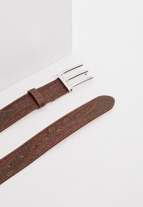 фото Ремень etro