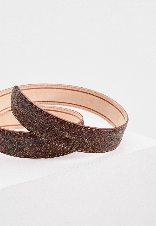 фото Ремень etro
