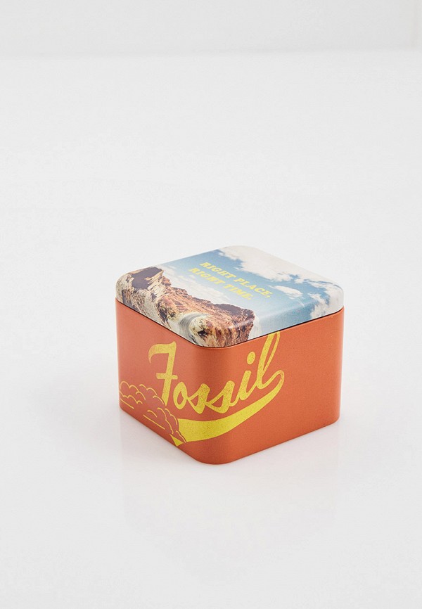 фото Часы fossil