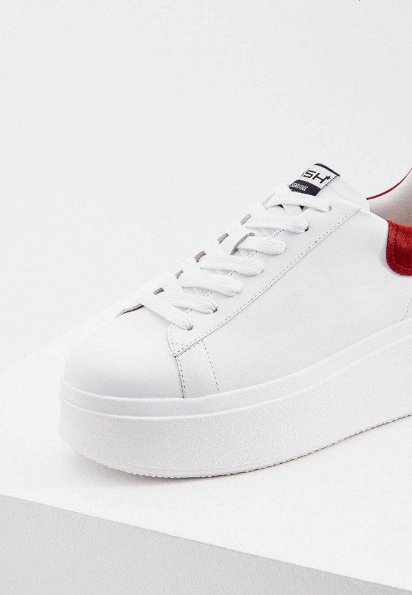 фото Кеды ash